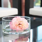 호텔 Residenz 데트몰트