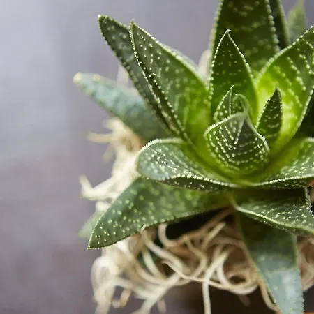 Residenz Hotell Detmold