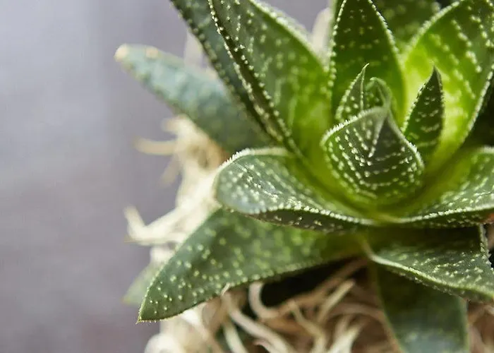 Residenz Hotell Detmold